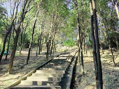 -火炉山森林公园
