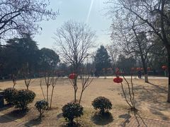 -鸡鸣汤包(红山动物园店)