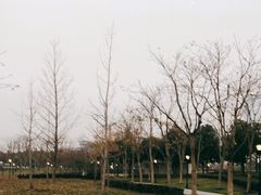 -上海山野camping·户外天幕烧烤·团建拓展营地