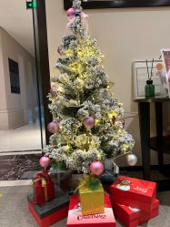 -Oasis Beauty水磨坊科技美肤中心