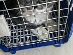 -美联众合动物医院·24h京西诊疗中心