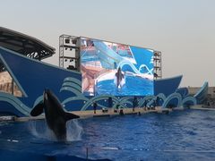 -上海海昌海洋公园