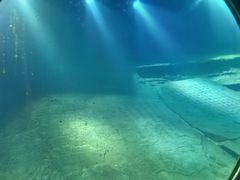 -白鹤梁水下博物馆