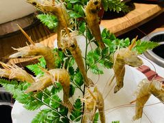 -尚海豆捞(乐虹坊店)