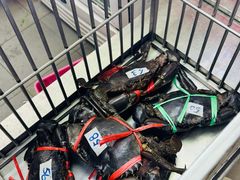 -东海岸人工湖美食村