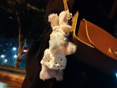 -爱玩嘉年华(龙湖源著天街店)