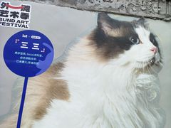 -方浜中路45弄小区