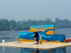 -秦皇岛乐岛海洋王国