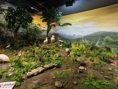 -陕西自然博物馆