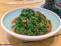 金花菜蚌肉-金典银峰老鹅馆·昆山菜(亭林公园店)