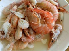 -大树下饭店(春晓镇慈岙社区卫生服务站南)