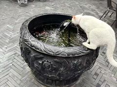 -府学·秋果S酒店(北京南锣鼓巷四合院店)
