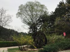 -云峰山自然风景区
