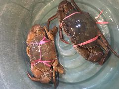 -真浪花园海鲜餐馆
