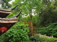 -灵隐飞来峰景区