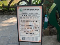 -西双版纳原始森林公园