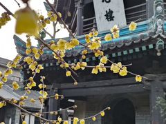 -西安化觉巷清真大寺