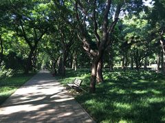 -玲珑塔公园