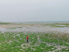 -集美鳌园景区