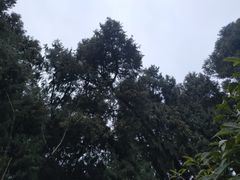 -七曲山风景区