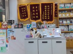 -四月宠物医院·猫专科·心脏专科·内科(转塘店)