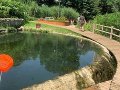 -成都市活水公园