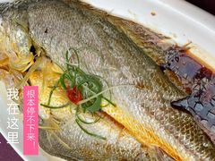 -万柳阁小馆·花园餐厅(龙潭湖店)