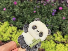 -石家庄市动物园