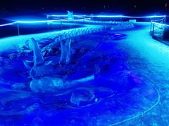 -长春市南湖公园