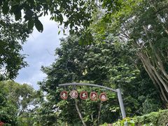 -中国科学院西双版纳热带植物园