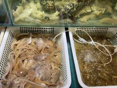 -福建美食城(老君堂店)