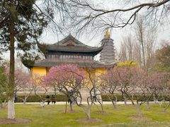 -青果巷历史文化街区