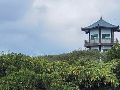 -盐洲岛