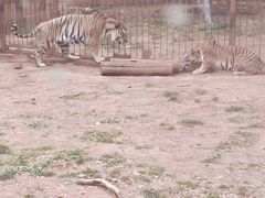 -昆明动物园