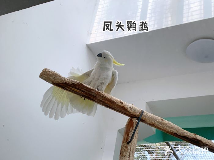 成都动物园图片