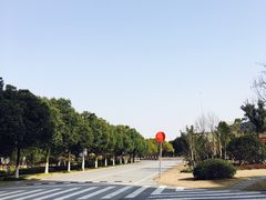 -华东政法大学(松江校区)