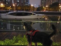 -申普宠物医院·眼科·心内科·影像科(普陀分院)