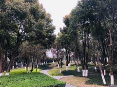 -重庆市江北嘴中央商务区中央公园