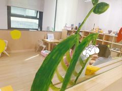 -大米和小米儿童成长中心·社交言语·感统·学习力提升(光明中心)