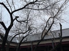-伪满皇宫博物院