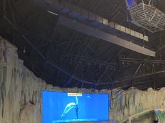 -哈尔滨极地公园