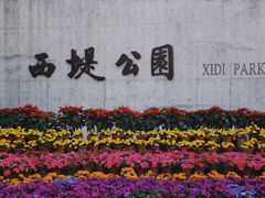 -西堤公园