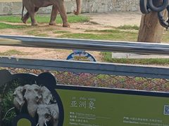 -无锡动物园·太湖欢乐园