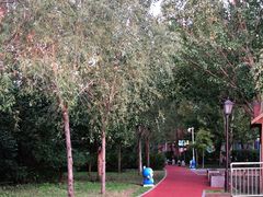 -长春公园(普阳街道)