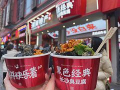 真外酥里嫩-黑色经典臭豆腐·湖南特产(坡子街店)