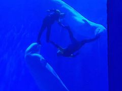 -多彩贵州城极地海洋世界