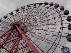 -南湖梦幻岛