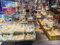 -青石桥花鸟鱼虫市场(叠翠城店)