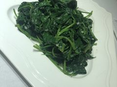 地瓜叶-山顶顶概念四川菜(黄埔大道店)
