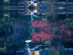 -梅花山(明孝陵内)